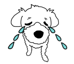 SORA THE MALTESE sticker #14406626