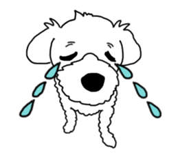 SORA THE MALTESE sticker #14406626