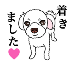 SORA THE MALTESE sticker #14406628