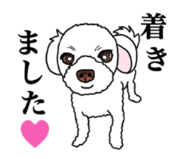 SORA THE MALTESE sticker #14406628