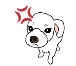 SORA THE MALTESE sticker #14406629