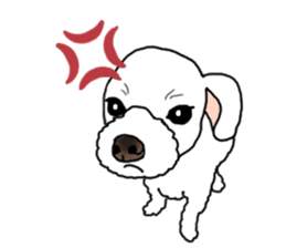 SORA THE MALTESE sticker #14406629