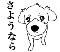 SORA THE MALTESE sticker #14406636