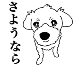 SORA THE MALTESE sticker #14406636