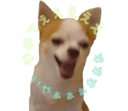 Lovery Chihuahua's SANTA sticker #14408373
