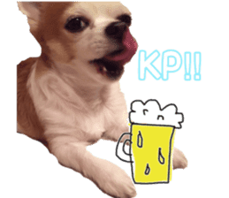 Lovery Chihuahua's SANTA sticker #14408379