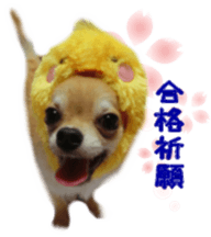 Sticker of Cereza 6 sticker #14408675