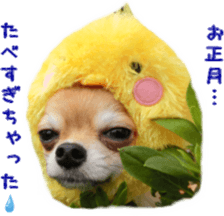 Sticker of Cereza 6 sticker #14408678