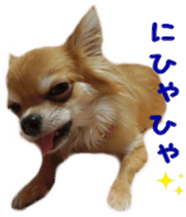 Sticker of Cereza 6 sticker #14408682