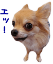 Sticker of Cereza 6 sticker #14408684