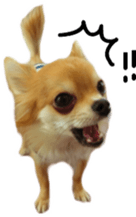 Sticker of Cereza 6 sticker #14408685