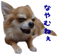 Sticker of Cereza 6 sticker #14408688