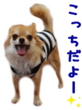 Sticker of Cereza 6 sticker #14408690