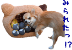 Sticker of Cereza 6 sticker #14408695