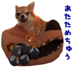 Sticker of Cereza 6 sticker #14408696