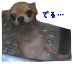 Sticker of Cereza 6 sticker #14408699