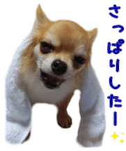 Sticker of Cereza 6 sticker #14408700