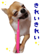 Sticker of Cereza 6 sticker #14408701