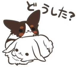 4 Papillon nestles up to daily life sticker #14409168