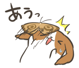 4 Papillon nestles up to daily life sticker #14409169