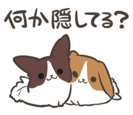 4 Papillon nestles up to daily life sticker #14409173