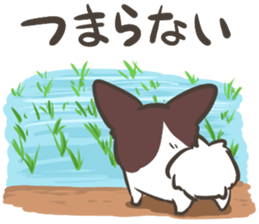 4 Papillon nestles up to daily life sticker #14409177