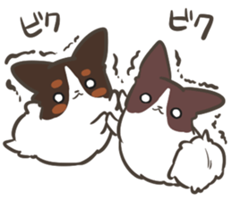4 Papillon nestles up to daily life sticker #14409179