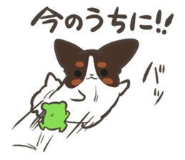 4 Papillon nestles up to daily life sticker #14409183