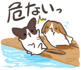 4 Papillon nestles up to daily life sticker #14409191
