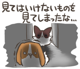 4 Papillon nestles up to daily life sticker #14409202
