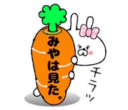 Funny Face Bunny Miya sticker #14411066