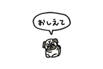 Small pugs sticker #14412397