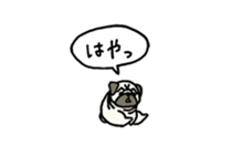 Small pugs sticker #14412411