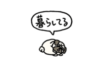 Small pugs sticker #14412422