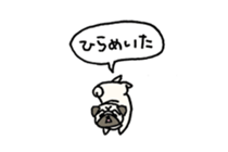 Small pugs sticker #14412424