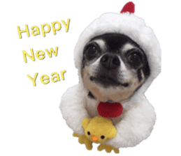 Happy New Year Chicken chihuahua 2017 sticker #14413566