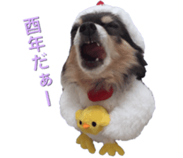 Happy New Year Chicken chihuahua 2017 sticker #14413570