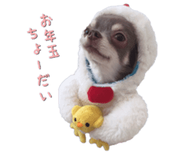 Happy New Year Chicken chihuahua 2017 sticker #14413573