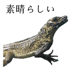 An auspicious creature in the aquarium sticker #14414583