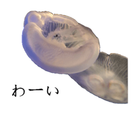 An auspicious creature in the aquarium sticker #14414598