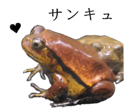 An auspicious creature in the aquarium sticker #14414602