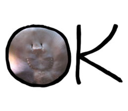 An auspicious creature in the aquarium sticker #14414608