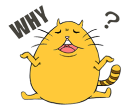 curvy cat Kimaru 2 sticker #14414615