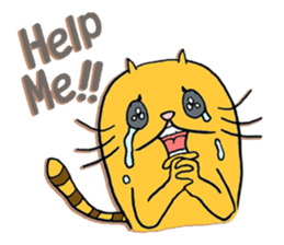 curvy cat Kimaru 2 sticker #14414625