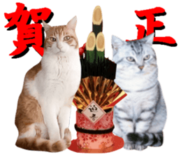 Cat's New Year sticker #14415134