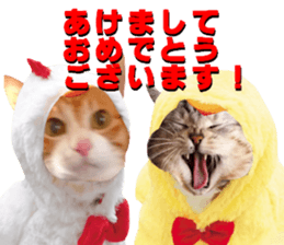 Cat's New Year sticker #14415135