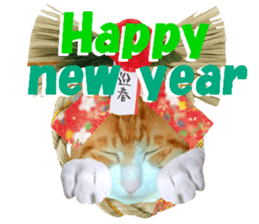 Cat's New Year sticker #14415136