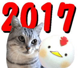 Cat's New Year sticker #14415137