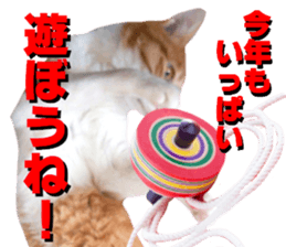 Cat's New Year sticker #14415139