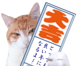 Cat's New Year sticker #14415140